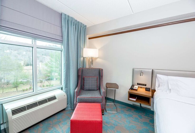 酒店 Hilton Garden Inn Asheville Downtown