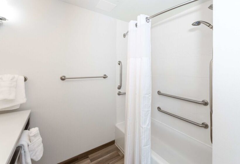 酒店 Hilton Garden Inn Asheville Downtown