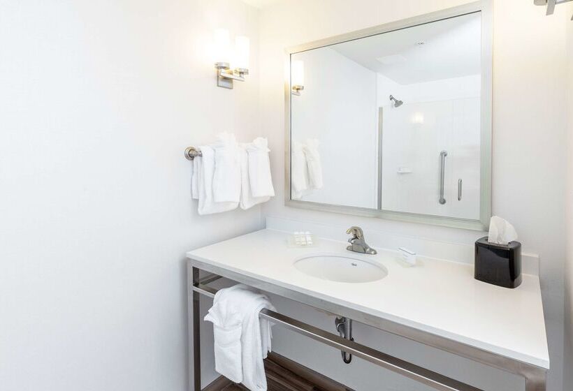 酒店 Hilton Garden Inn Asheville Downtown