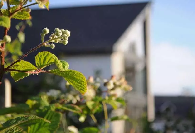 ホテル The Corran   Serviced Accommodation