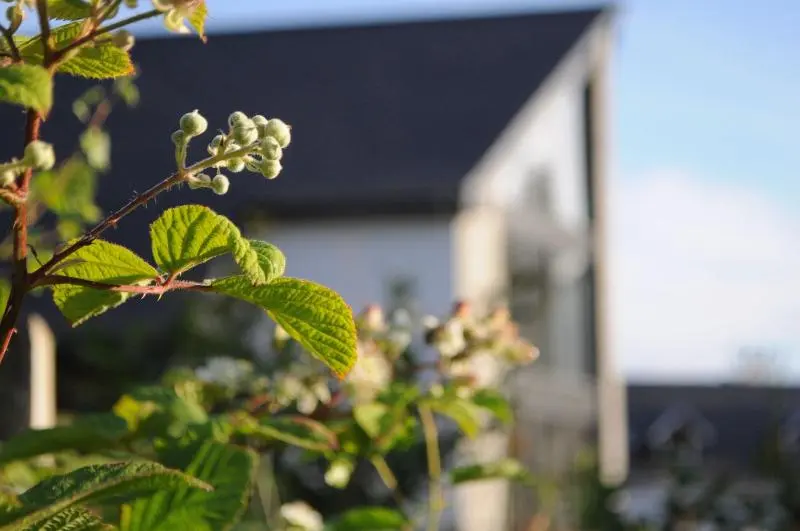 Hotelli The Corran Serviced Accommodation
