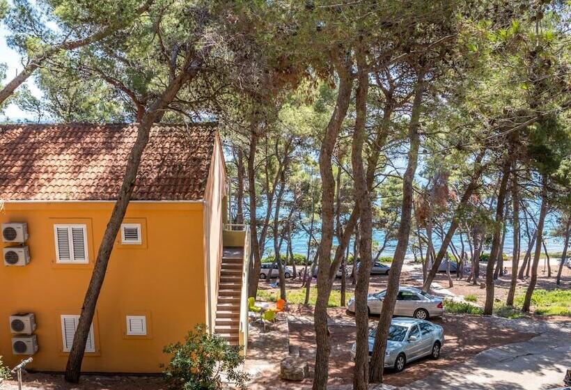 فندق Zelena Punta