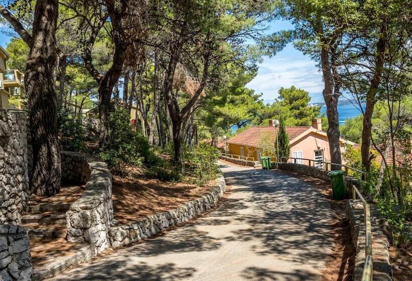 فندق Zelena Punta