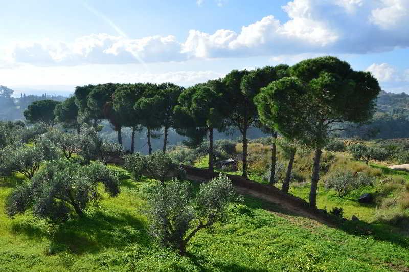 Koukounaries Studios