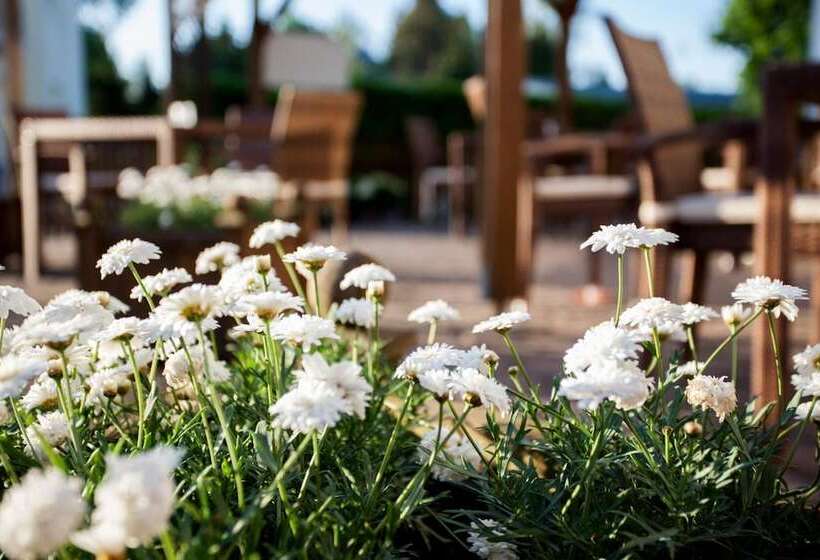 בית מלון כפרי Barnimer Hof