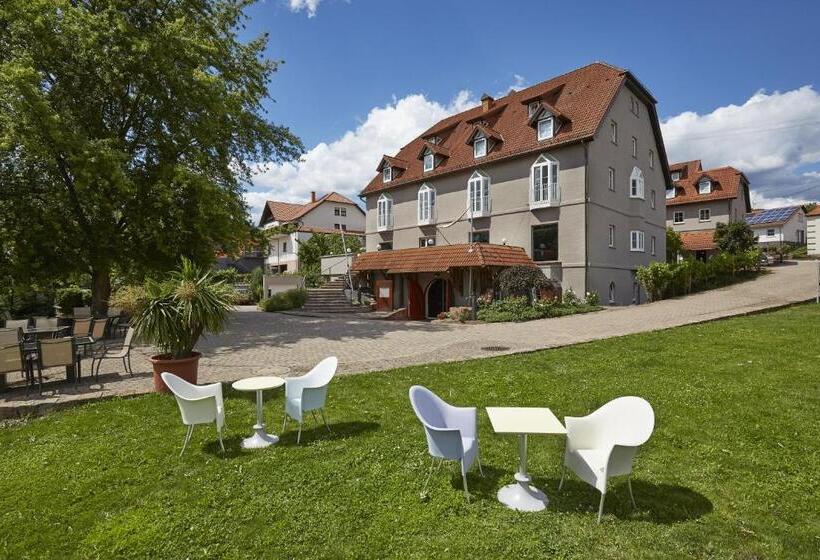 호텔 Consulat Des Weins