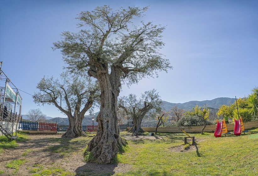 ホテル Hostal Y Apartamento Rural Los Naranjos