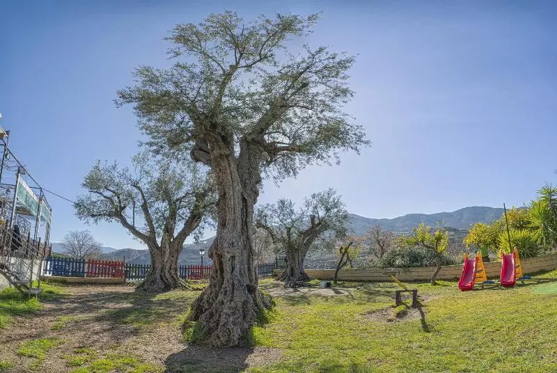 ホテル Hostal Y Apartamento Rural Los Naranjos