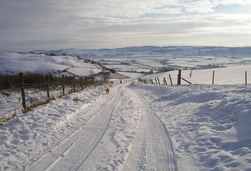 בית מלון כפרי Northlees Farm