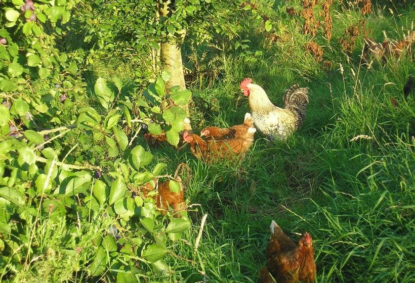 בית מלון כפרי Northlees Farm