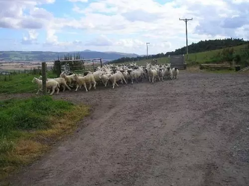 ホテル Northlees Farm