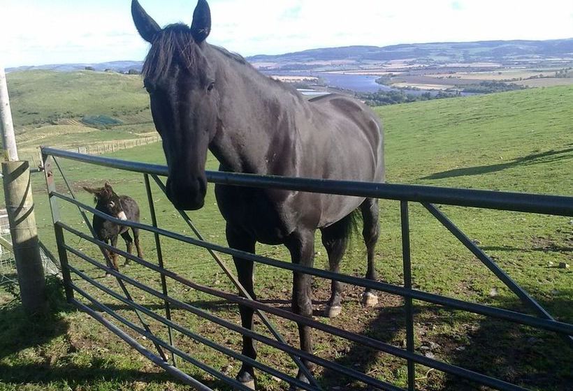 בית מלון כפרי Northlees Farm