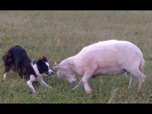 ホテル Northlees Farm