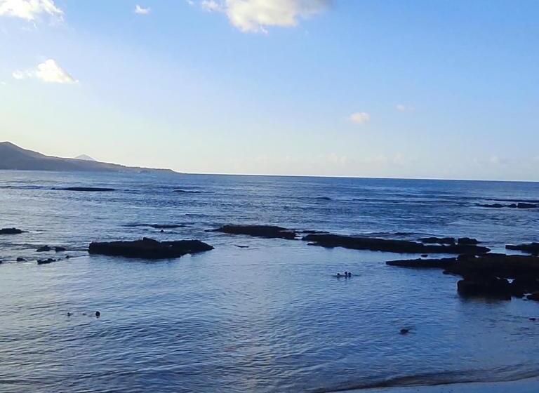 Little Surf House Hostel