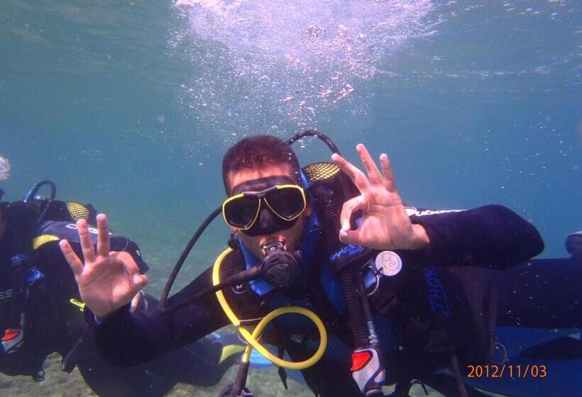 Little Surf House Hostel