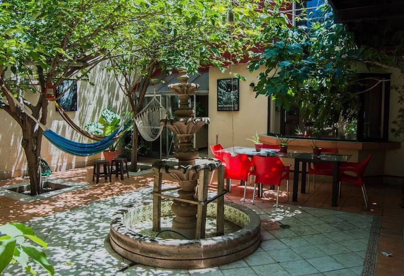 Paqui B&b By Rotamundos