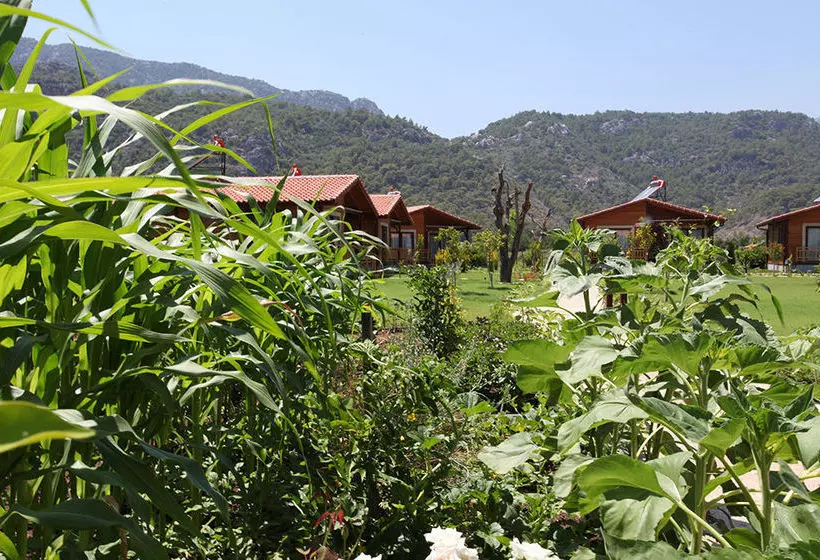 Ruya Villen Park