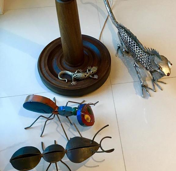 Terra Firma Mclaren Vale