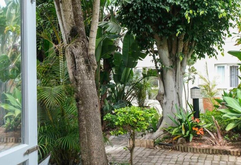 تختخواب و صبحانه Conifer Beach House