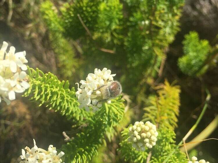 住宿加早餐  Lalapanzi Lodge