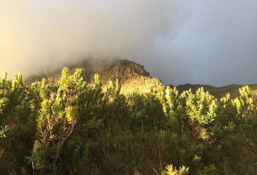 住宿加早餐  Lalapanzi Lodge