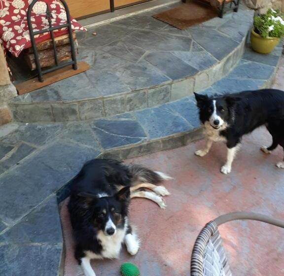 مبيت وإفطار Rae Leigh Heights Bnb