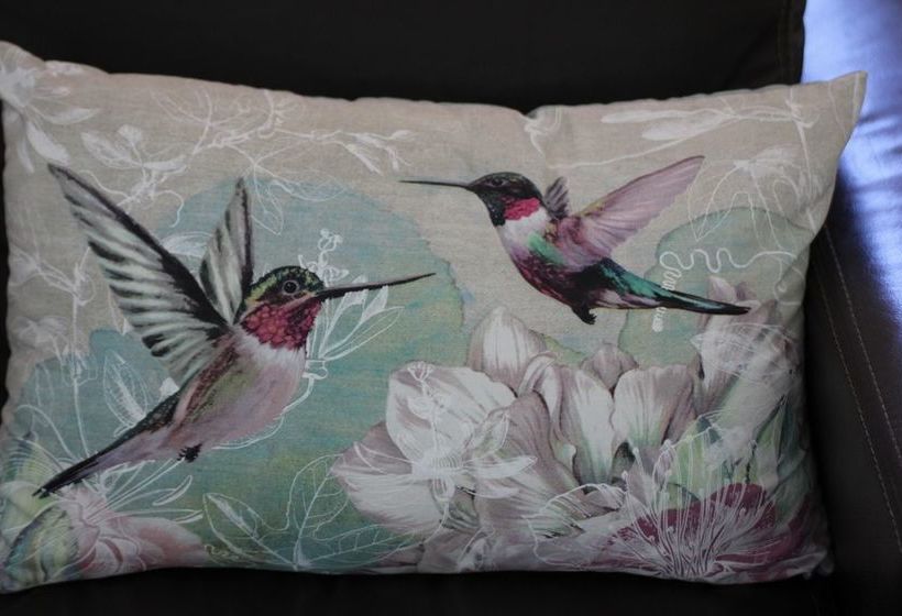 Fotos del hotel Goose Green Lodge:  6