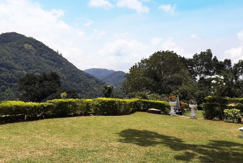 בית מלון כפרי Primrose Kandy Hill Bungalow