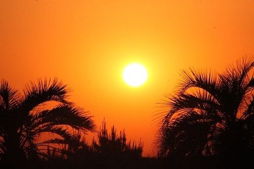 ホテル Organic B&b Maruei