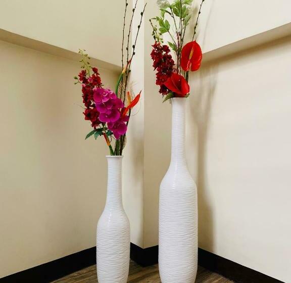 בית מלון כפרי Z Pension