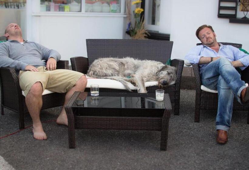 Pensione Milltown House Dingle