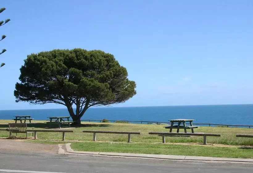 ユースホステル Oceanfront Backpackers