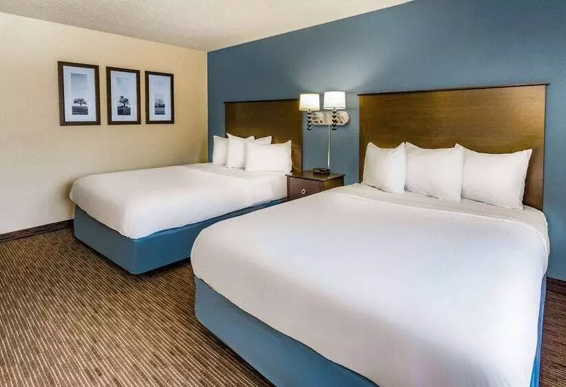 Americinn By Wyndham Hotel And Suites Long Lake