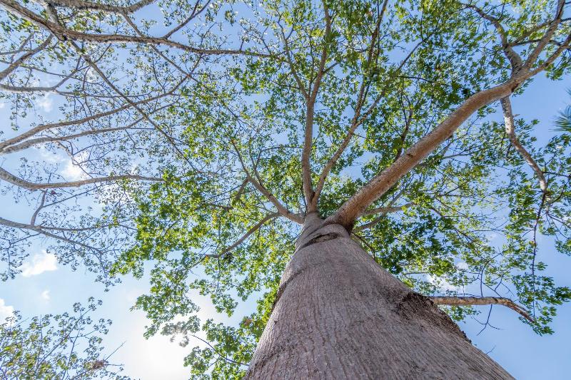 هتل Colinas Del Sol