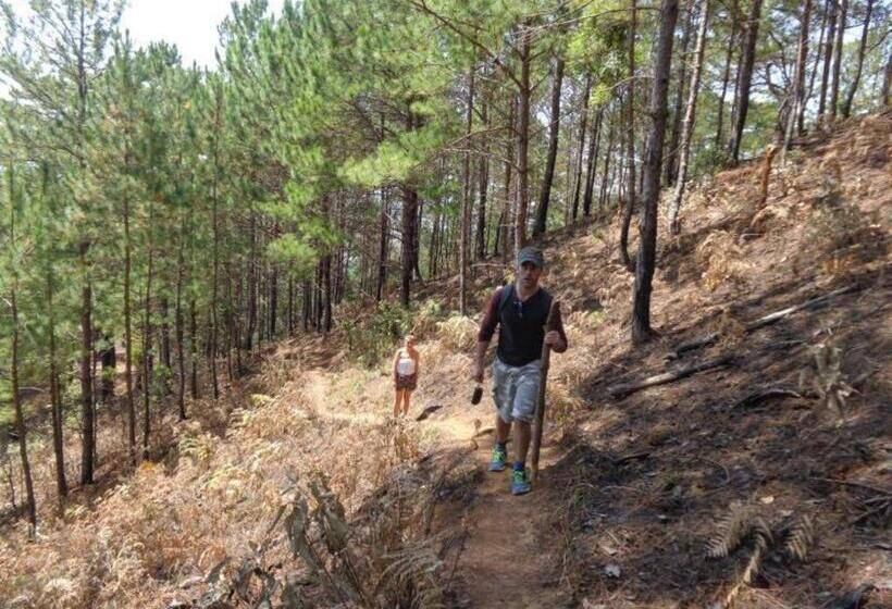 هتل Hai Long Vuong