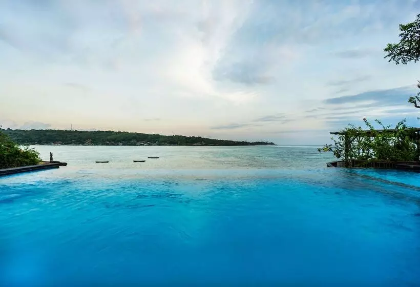 ホテル Laguna Reef Huts