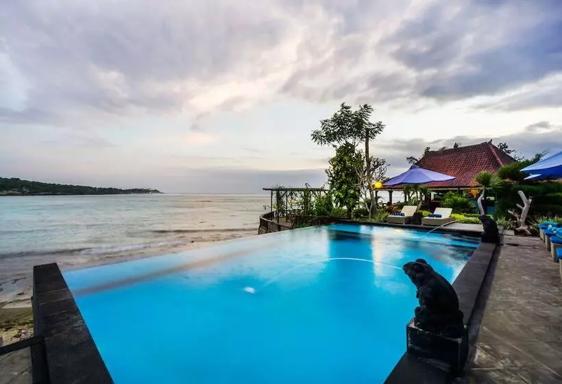 ホテル Laguna Reef Huts