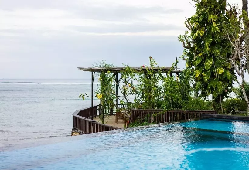 ホテル Laguna Reef Huts