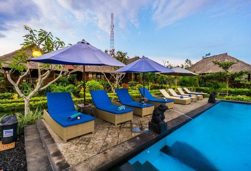 Hotel Laguna Reef Huts