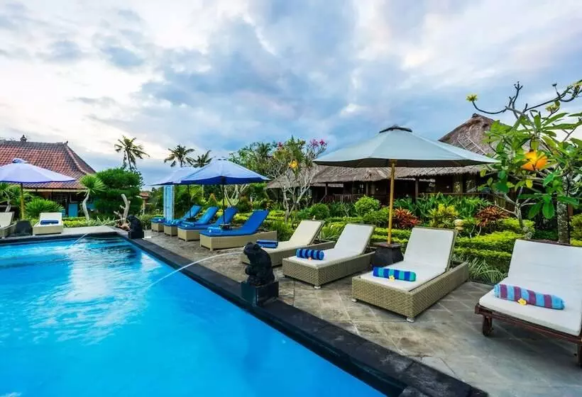 ホテル Laguna Reef Huts
