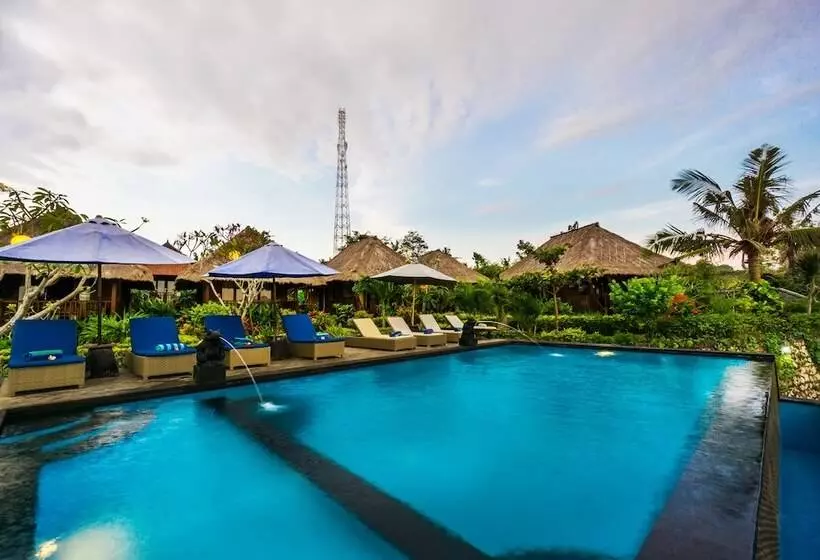 ホテル Laguna Reef Huts
