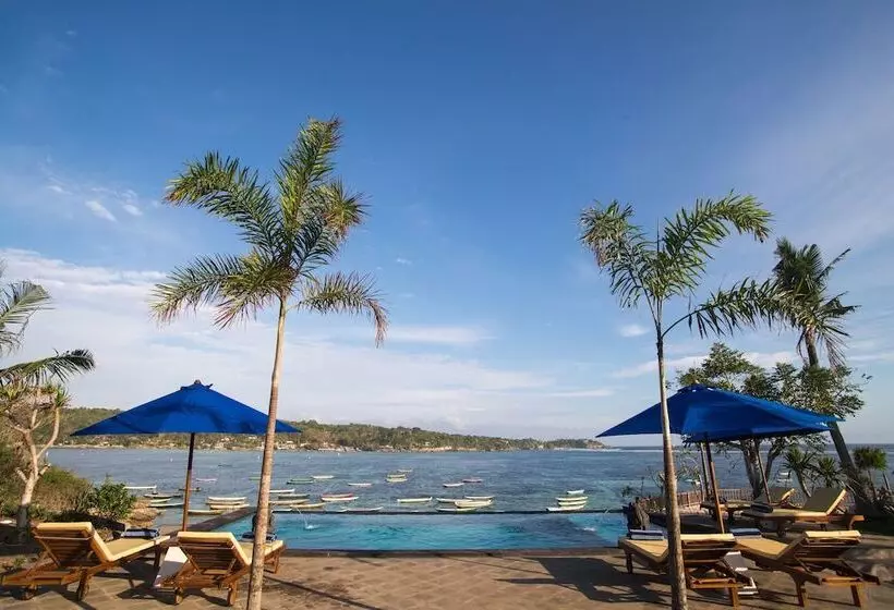 ホテル Laguna Reef Huts