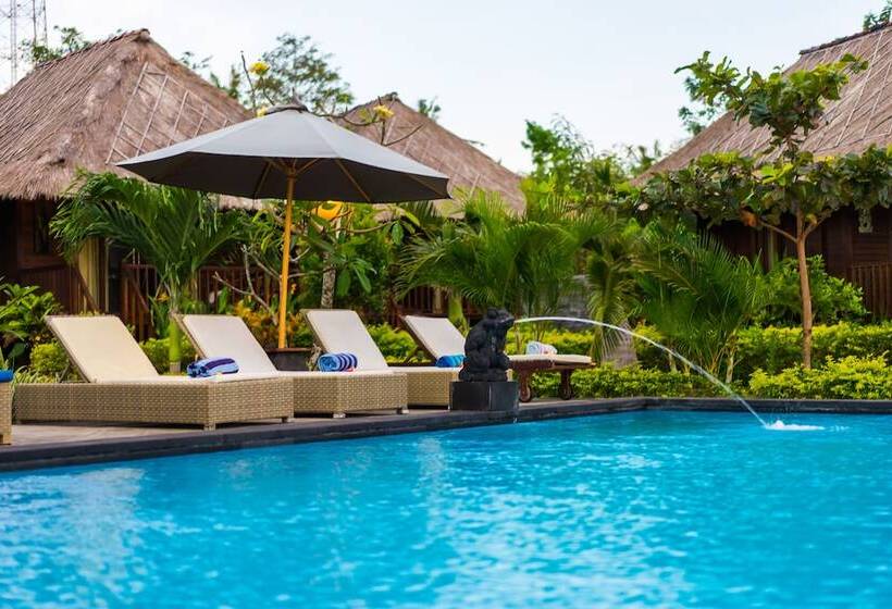 Hotel Laguna Reef Huts