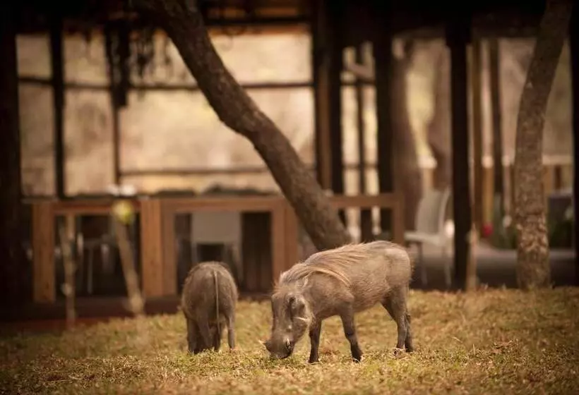 Hotelli Moditlo River Lodge