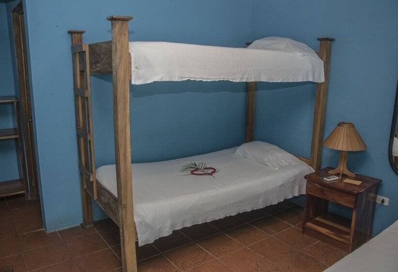 فندق Pelican Beachfront