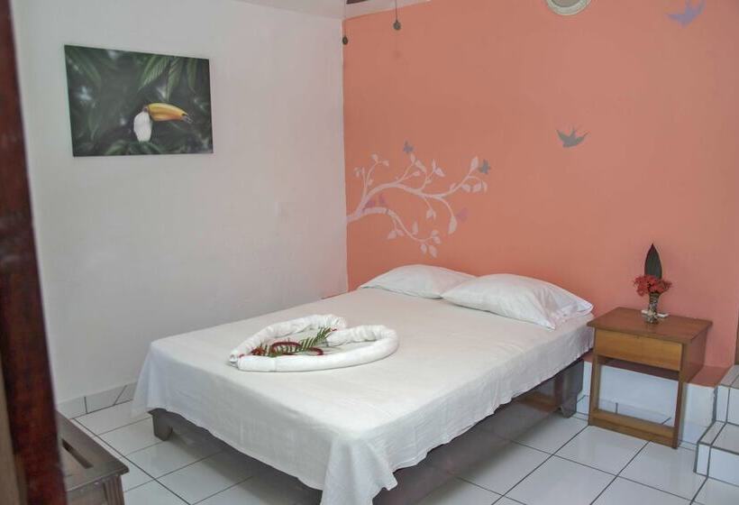 فندق Pelican Beachfront