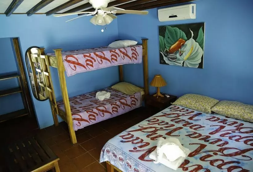 Hotelli Pelican Beachfront