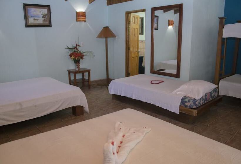 فندق Pelican Beachfront