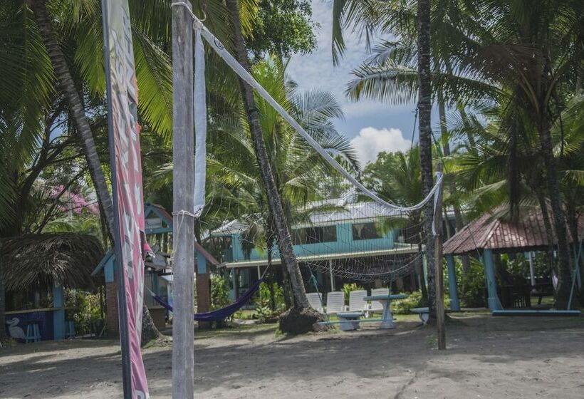 فندق Pelican Beachfront