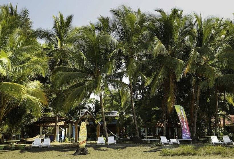 فندق Pelican Beachfront